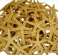 Polyester Deniz Yıldızı Minik Boy Süslemelik 100 Adet Dekoratif Deniz Yıldızları 2-3cm
