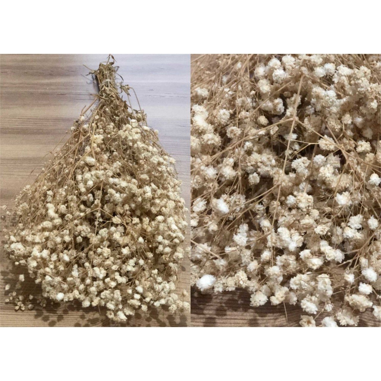 Şoklanmış Cipso 1.kalite Krem Cipso 50gr