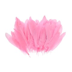 Pembe Kuş Tüyü Süsleme 100 Adet