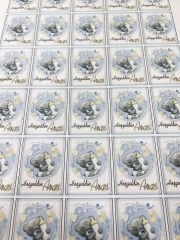 Yapışkanlı İsim Etiketi Biberonlu Ayıcık 3,5 x 4.5 cm 30 Adet Bebek İsim Etiketi