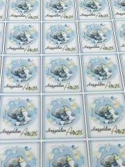 Yapışkanlı İsim Etiketi Biberonlu Ayıcık 3,5 x 4.5 cm 30 Adet Bebek İsim Etiketi