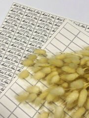 Açık Krem Kalın Kağıt İsim Etiketi 100 Adet Kına- Söz - Nişan - Nikah Ve Bebek Etiketi 3,3 X 1,4 Cm