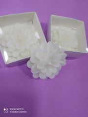 LOTUS MUM  BEYAZ (25adet)