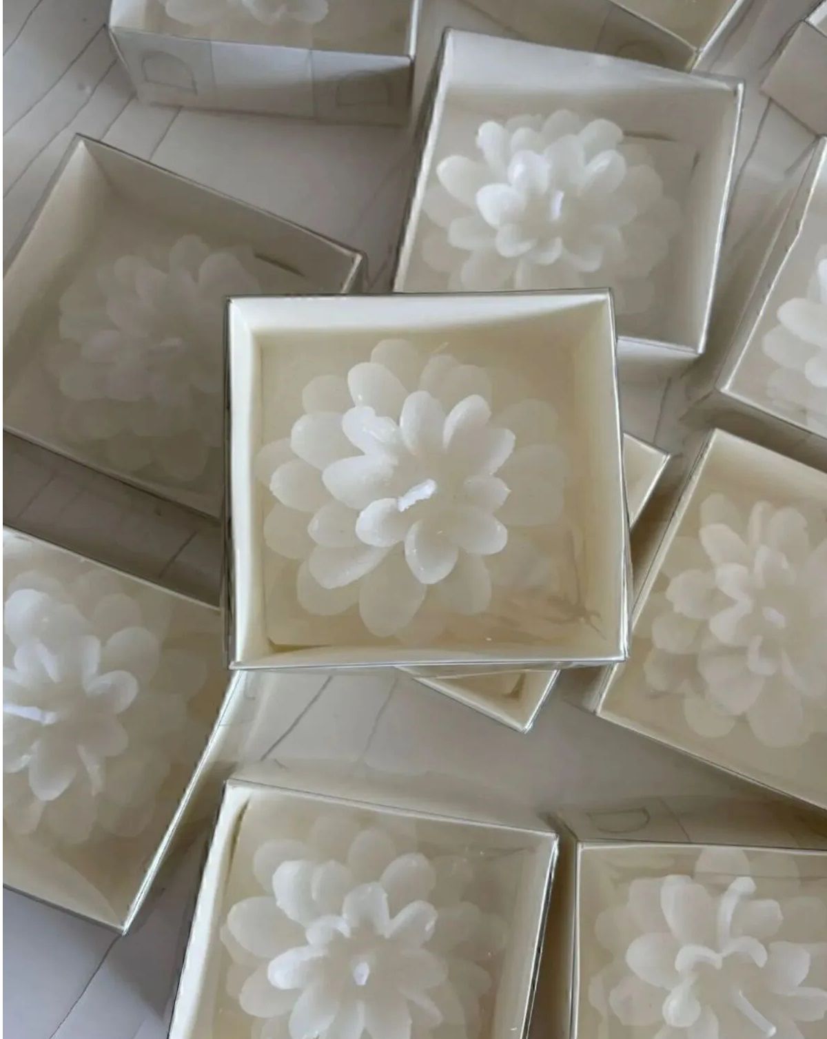 LOTUS MUM  BEYAZ (25adet)
