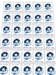Yapışkanlı Isim Etiketi Bulut ve Ay Uyuyan Ayıcık Mavi 3,5 X 4.5 Cm 30 Adet Bebek Isim Etiketi
