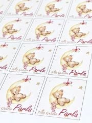 Yapışkanlı Isim Etiketi Ay ve Uyuyan Ayıcık Pembe 3,5 X 4.5 Cm 30 Adet Bebek Isim Etiketi