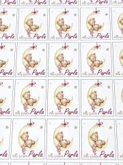 Yapışkanlı Isim Etiketi Ay ve Uyuyan Ayıcık Pembe 3,5 X 4.5 Cm 30 Adet Bebek Isim Etiketi