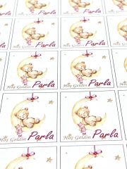 Yapışkanlı Isim Etiketi Ay ve Uyuyan Ayıcık Pembe 3,5 X 4.5 Cm 30 Adet Bebek Isim Etiketi